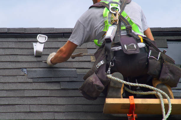 Professional Roofing Contractor in Essex, IL