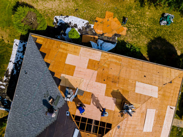 Best Flat Roof Repair Services  in Essex, IL