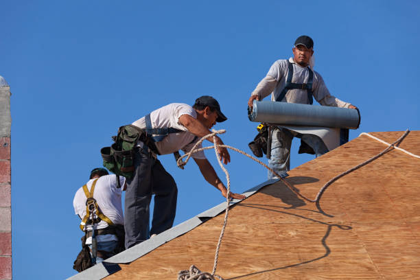 Best Commercial Roofing Services  in Essex, IL