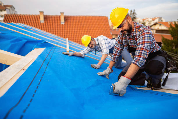 Best Metal Roofing Contractor  in Essex, IL