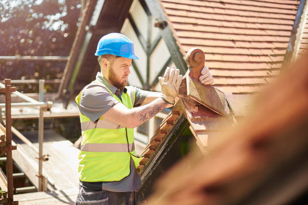 Gutter Installation and Roofing in Essex, IL