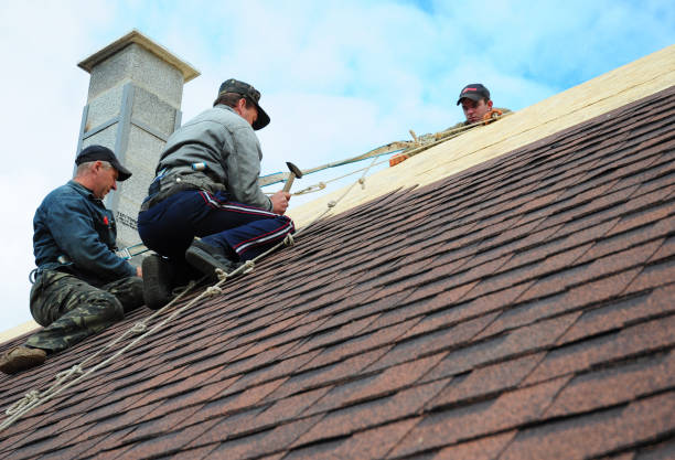 Best Roof Leak Repair  in Essex, IL